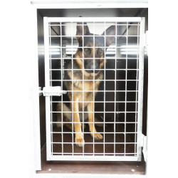 chien03
