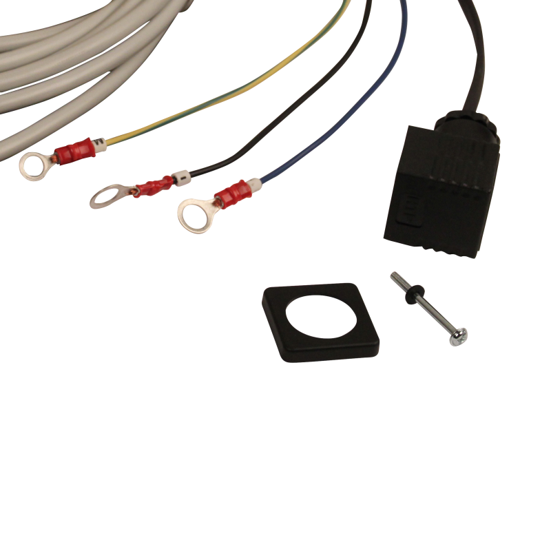 Télécommande à 2 boutons avec verrouillage + clé en plastique (photo)