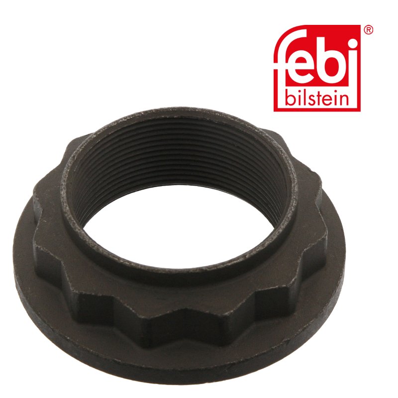Écrou à douze pans