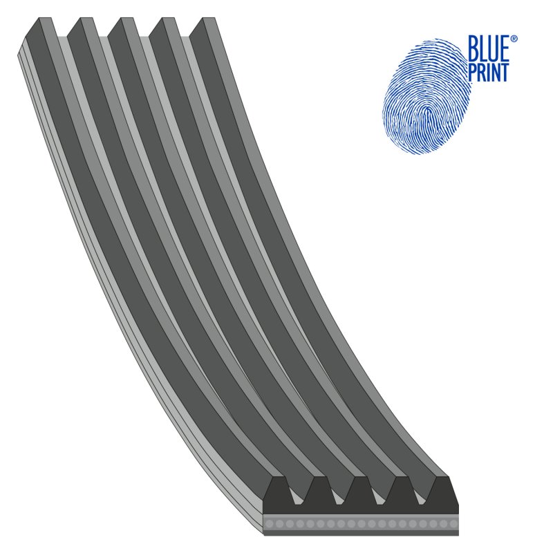 Courroie trapézoïdale à nervures