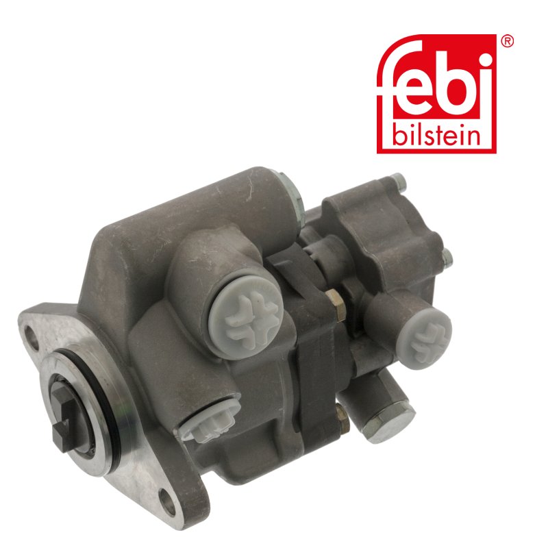 Pompe jumelée pour la direction assistée et l'installation à carburant