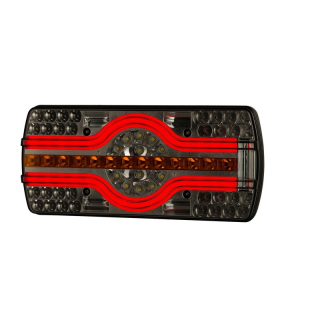 Feu arrière LED néon avec éclaireur de plaque | 12-24V | 2.0m cable