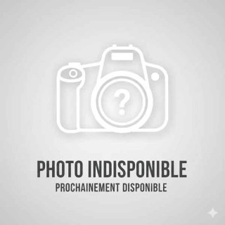 serrure de porte (T) 06-15 255mm 605mm 0N