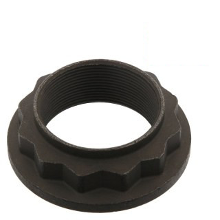 Écrou à douze pans
