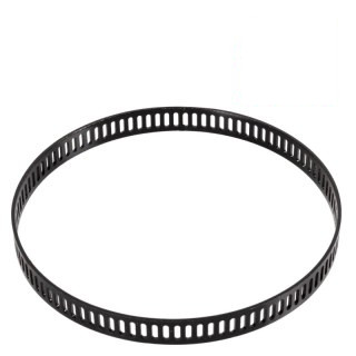 Roue polaire ABS