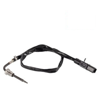 Sonde de température des gaz d'échappement