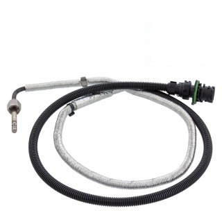 Sonde de température des gaz d'échappement