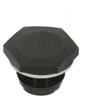 Bouchon de vidange pour le moteur, avec bague d'étanchéité